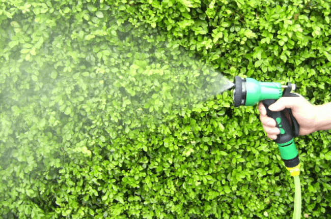 Spray Nozzle -(No.GP-1803-1)